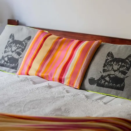 Bright Stylish With Parking & Balcony By Renters *